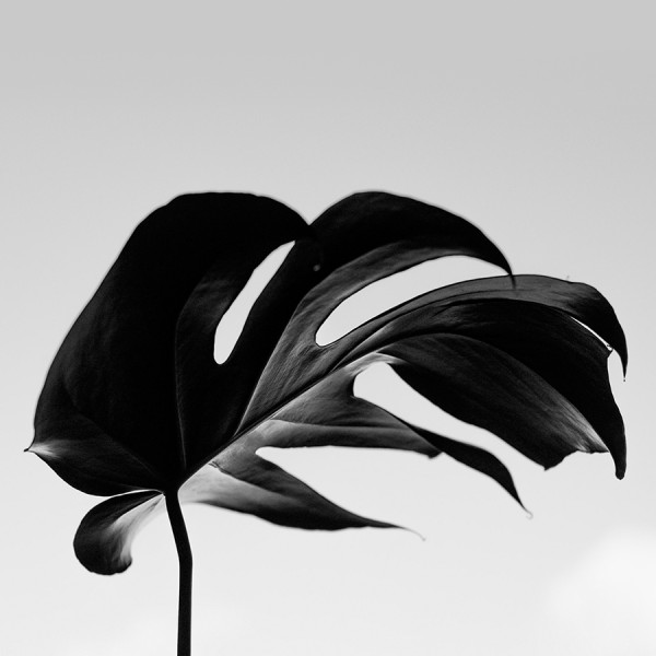 Картина BWY-1 400*400